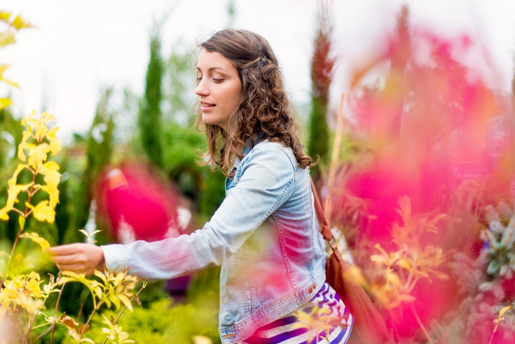Amaya Happy Plantes
