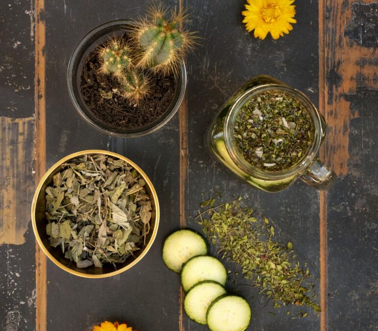 Recette : tisane glacée au concombre