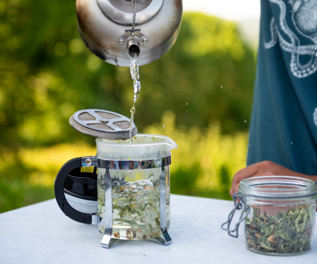 comment faire une cure de tisane