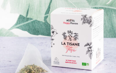 Un vent nouveau souffle chez Happy Plantes !